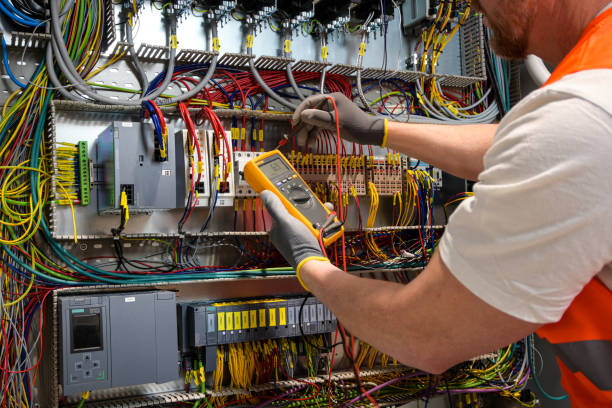 Best Electric Panel Repair  in Warm Mineral Springs, FL